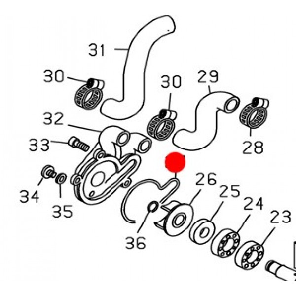 O-ring Pompa Acqua BETA Rev-Evo 2004-2018